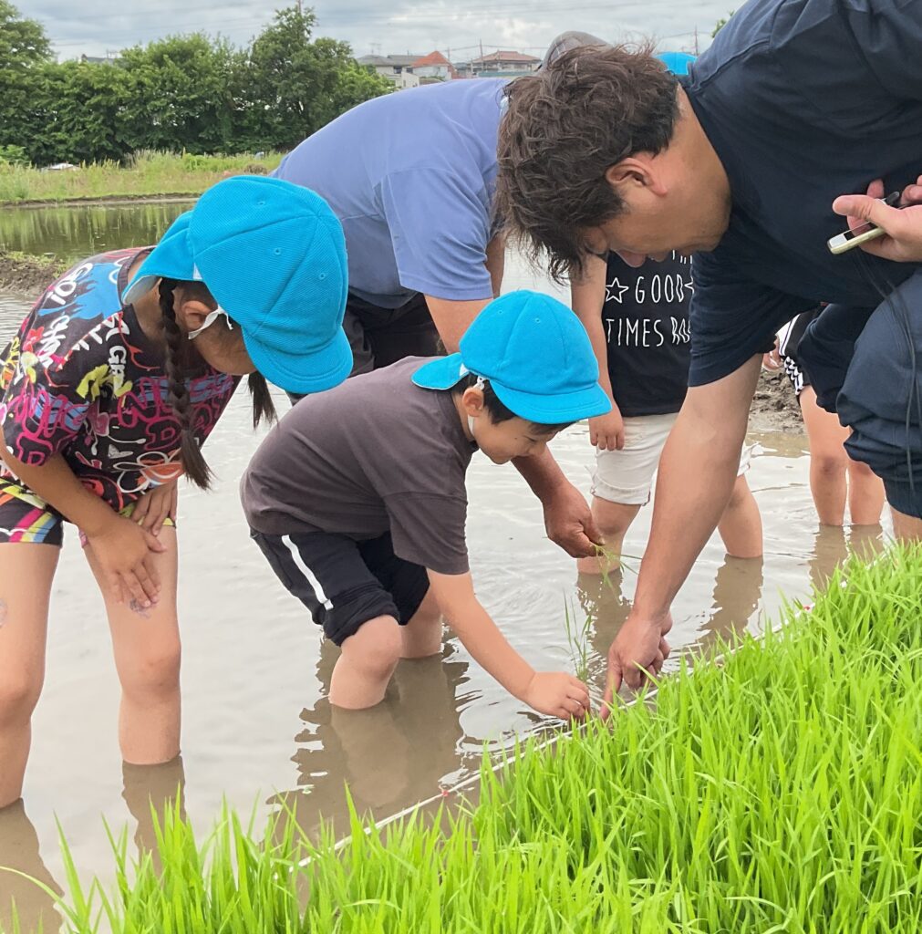 ５月２６日　田植え