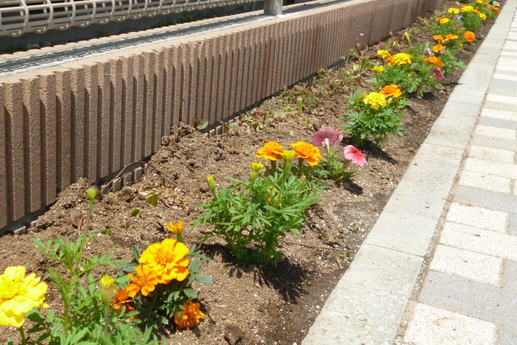 ５月２０日　花いっぱい