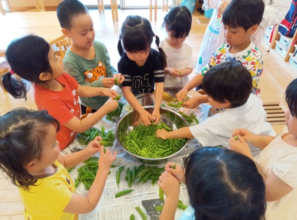 食育活動